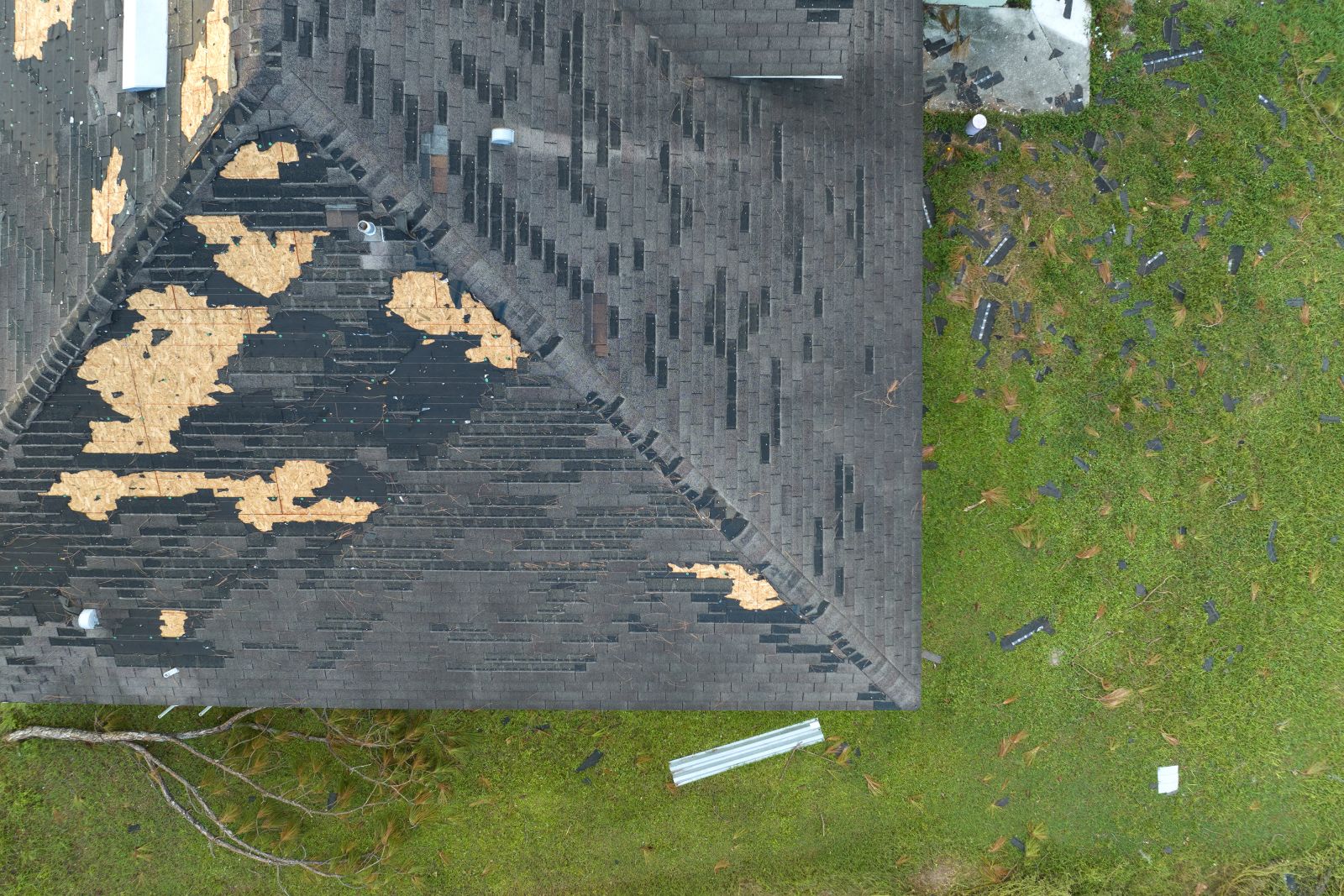 Free Inspection